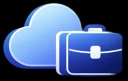 Flexible Enterprise Delivery Models